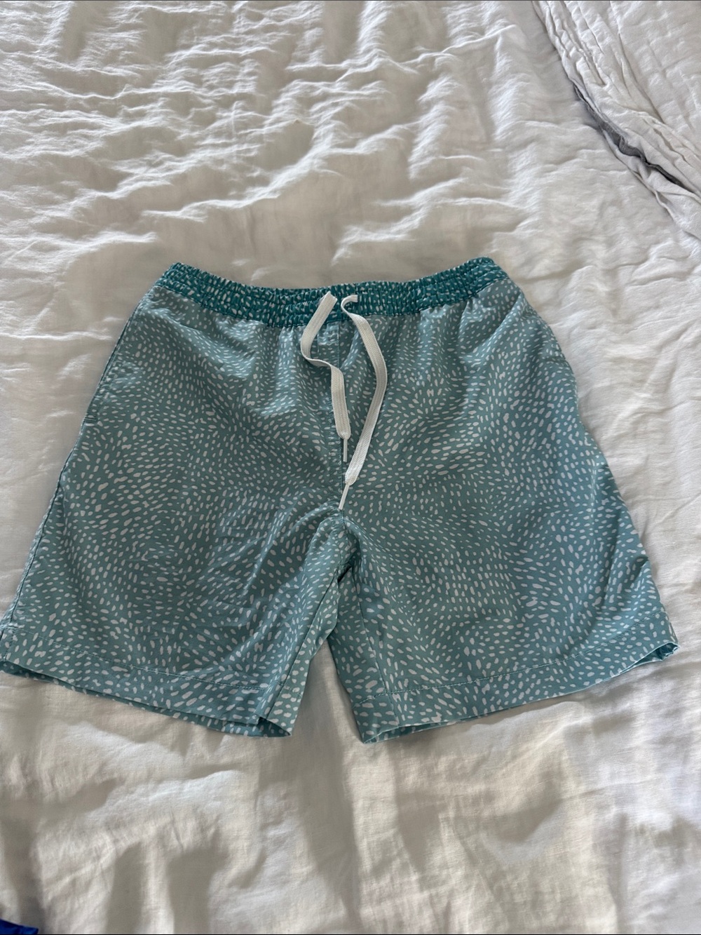 chubbies Teal Swim Trunks with White Speckle Print
